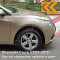 GCZ - Light Gold - Золотой 